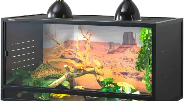 Jak zbudować terrarium dla żółwia? Praktyczny poradnik DIY