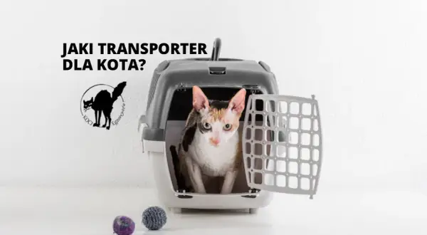 Czarny transporter dla kota: Jaki wybrać? Poradnik 2024