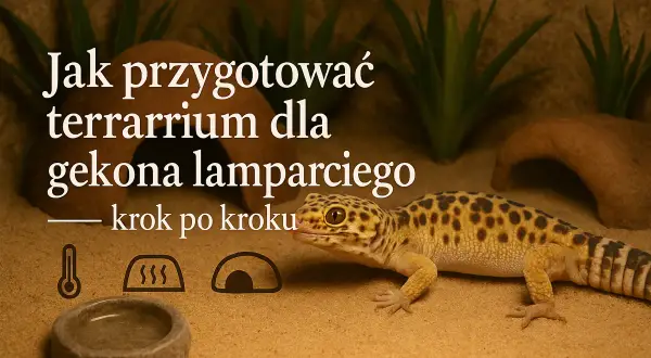 Ścianka dla Gekona Lamparciego: DIY Poradnik Krok po Kroku