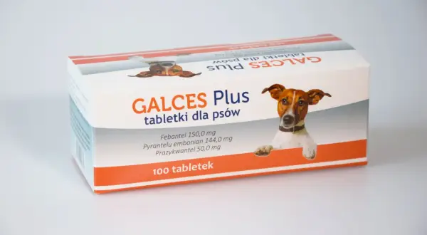 Ile kosztują tabletki na odrobaczanie psa? Ceny i gdzie kupić!