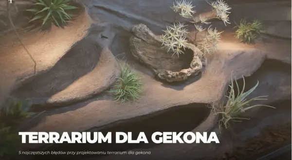 Rośliny do terrarium gekona orzęsionego: Co wybrać, czego unikać?